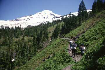 best hikes mt baker